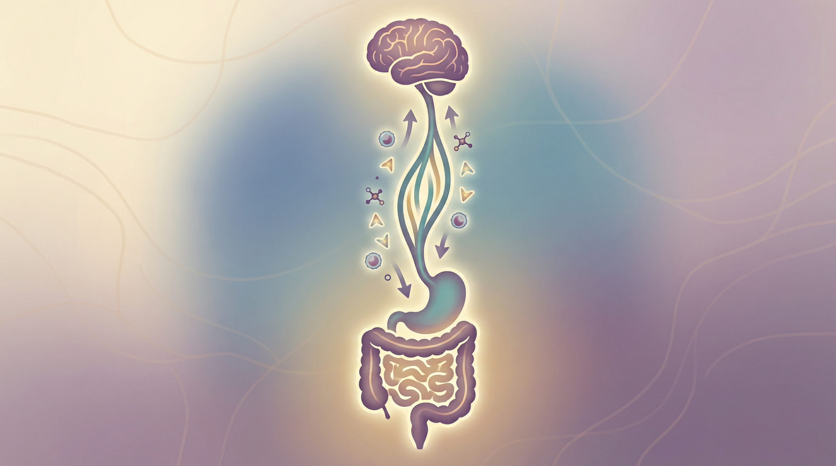 Medical illustration of the bidirectional gut-brain axis showing the vagus nerve connecting the brain and intestines with neural signals traveling in both directions