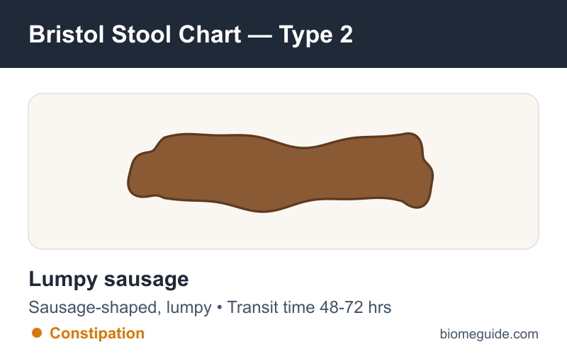 Bristol Stool Chart Type 2: a lumpy, sausage-shaped stool indicating constipation.