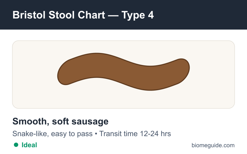 Bristol Stool Chart Type 4: a smooth, soft, snake-like stool, the ideal stool form.