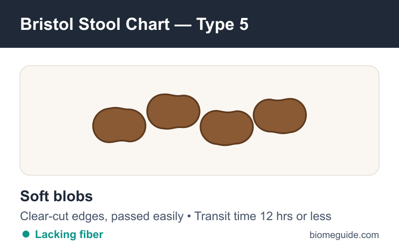 Bristol Stool Chart Type 5: soft blobs with clear-cut edges, passed easily — borderline normal.
