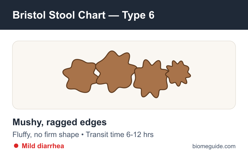Bristol Stool Chart Type 6: fluffy, mushy pieces with ragged edges, indicating mild diarrhea.