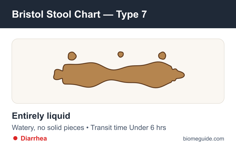 Bristol Stool Chart Type 7: entirely liquid stool with no solid pieces, indicating diarrhea.